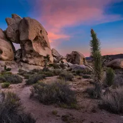 Joshua Tree National Park - Yucca Valley