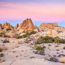 Joshua Tree National Park - Yucca Valley
