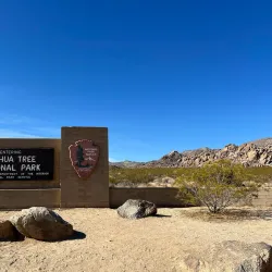 Joshua Tree National Park - Yucca Valley