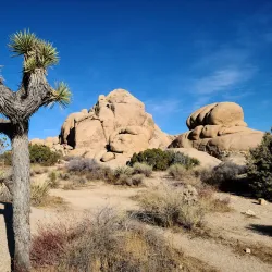 Joshua Tree National Park - Yucca Valley