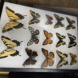 Alamosa Historic District - Alamosa