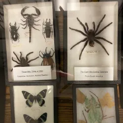 Alamosa Historic District - Alamosa