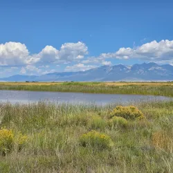 Alamosa National Wildlife Refuge - Alamosa