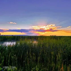 Alamosa National Wildlife Refuge - Alamosa