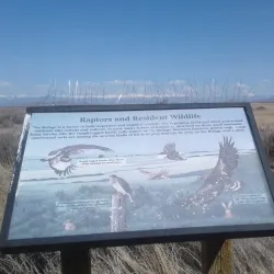 Alamosa National Wildlife Refuge - Alamosa