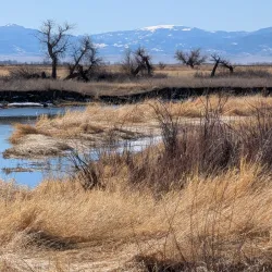 Alamosa National Wildlife Refuge - Alamosa