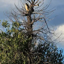 Alamosa National Wildlife Refuge - Alamosa