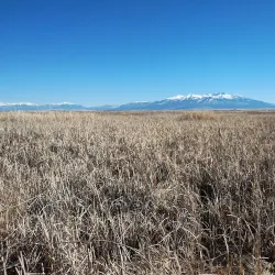 Alamosa National Wildlife Refuge - Alamosa