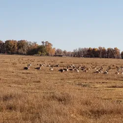 Alamosa Riverwalk Trail - Alamosa