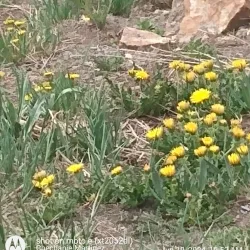 Alamosa Riverwalk Trail - Alamosa