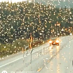 Alamosa Riverwalk Trail - Alamosa