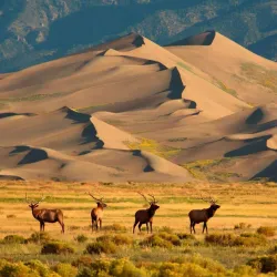 Great Sand Dunes National Park and Preserve - Alamosa