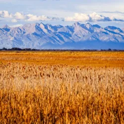 Monte Vista National Wildlife Refuge - Alamosa