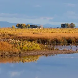 Monte Vista National Wildlife Refuge - Alamosa