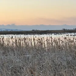 Monte Vista National Wildlife Refuge - Alamosa