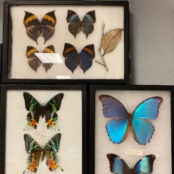 San Luis Valley Museum - Alamosa