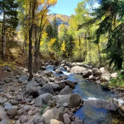 Hunter Creek Trail - Aspen