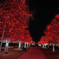 Aurora Municipal Center - Aurora