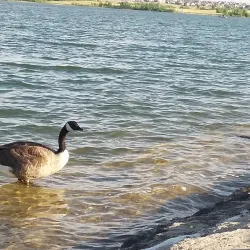 Aurora Reservoir - Aurora