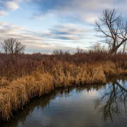 Cherry Creek State Park - Aurora