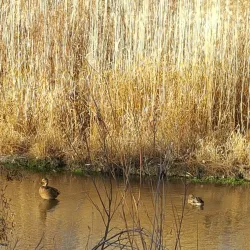 Cherry Creek Trail - Aurora