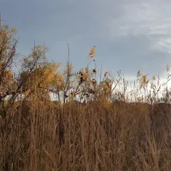 Cherry Creek Trail - Aurora