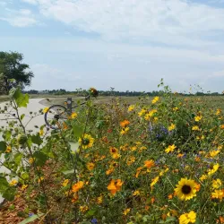 Cherry Creek Trail - Aurora