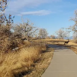 DeLaney Farm Historic Site - Aurora