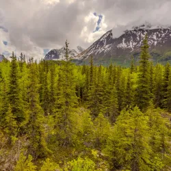 Eagle River Trail - Avon