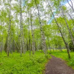 Eagle River Trail - Avon