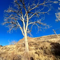 De Beque Canyon - Battlement Mesa