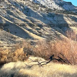 De Beque Canyon - Battlement Mesa
