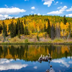 Grand Mesa National Forest - Battlement Mesa
