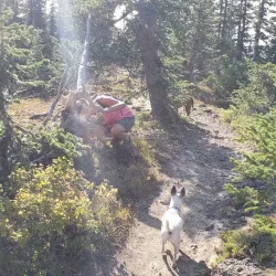 Hiking Trails Around Battlement Mesa - Battlement Mesa