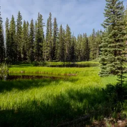Hiking Trails Around Battlement Mesa - Battlement Mesa