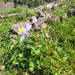 Hiking Trails Around Battlement Mesa - Battlement Mesa