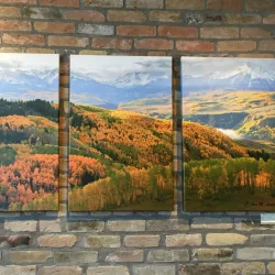 Local Art Galleries and Shops - Battlement Mesa