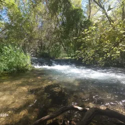 Rifle Falls State Park - Battlement Mesa