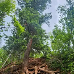Rifle Falls State Park - Battlement Mesa