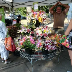 Boulder Farmers Market - Boulder