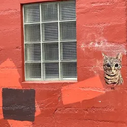 Boulder Museum of Contemporary Art (BMoCA) - Boulder