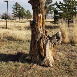NCAR (National Center for Atmospheric Research) - Boulder