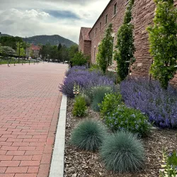 University of Colorado Boulder - Boulder