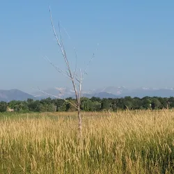 Broomfield County Commons Park - Broomfield