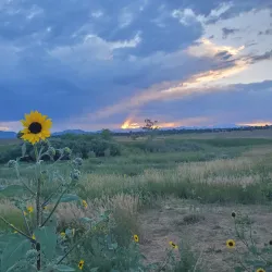 Broomfield County Commons Park - Broomfield