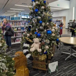 Douglas County Libraries - Castle Rock Branch - Castle Rock