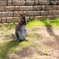 Cheyenne Mountain Zoo - Colorado Springs