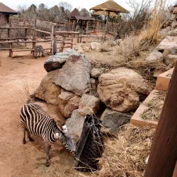 Cheyenne Mountain Zoo - Colorado Springs