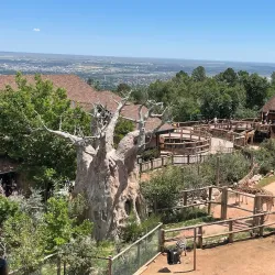Cheyenne Mountain Zoo - Colorado Springs