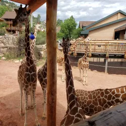 Cheyenne Mountain Zoo - Colorado Springs